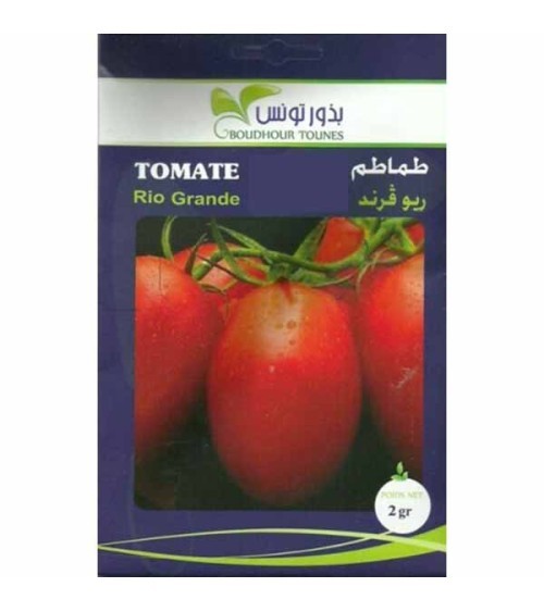 GRAINES DE TOMATE RIO GRANDE