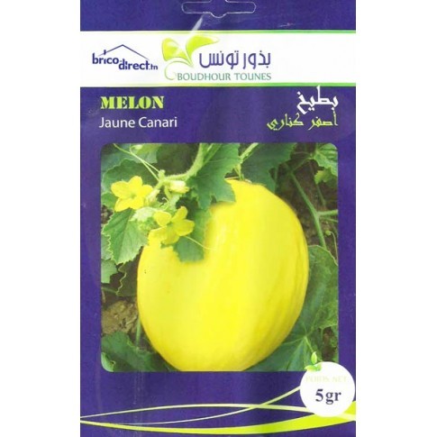 graines semis melon jaune canari