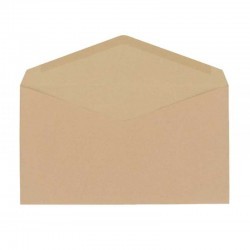 Lot de 25 Enveloppes Kraft 16,2 x 22,9 cm