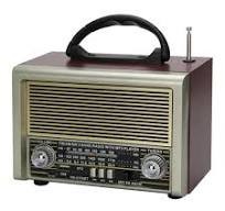 Portable Fm Radio NS-8133BT
